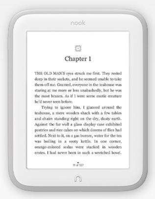 Barnes & Noble Nook Simple Touch GlowLight - 2 GB, WiFi, bílý