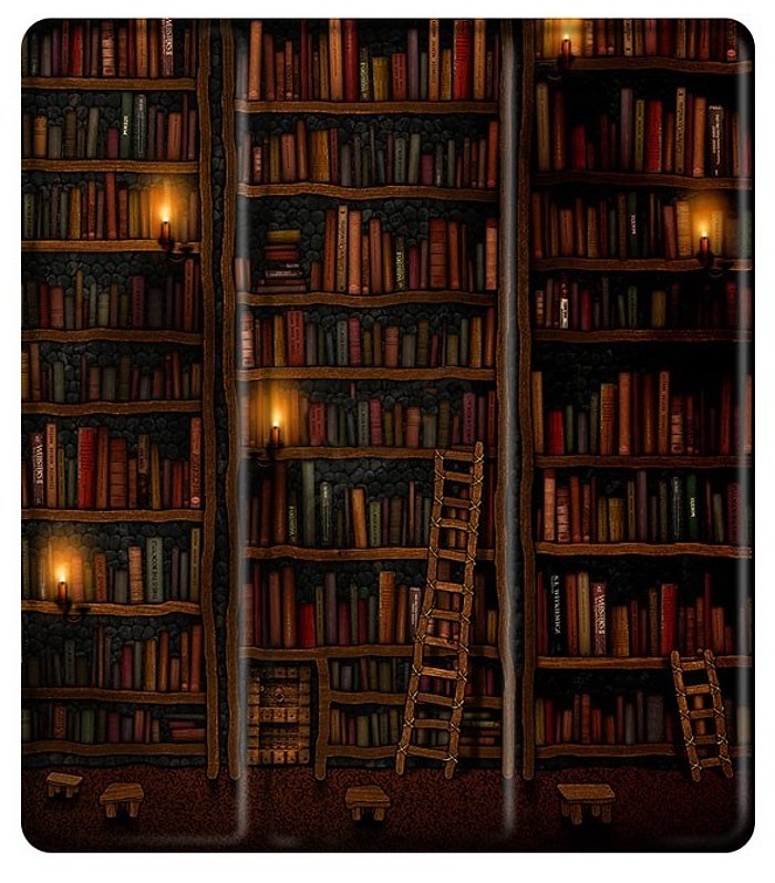 Pouzdro B-Safe Stand 3457 na Amazon Kindle Scribe - motiv Library